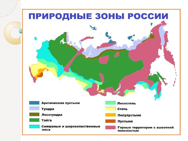 Реферат На Тему Природные Зоны России